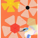 『太陽の軌道』の画像