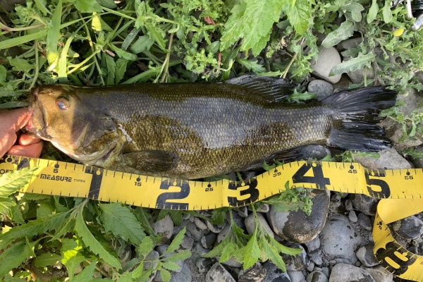 Shino0525のブログ 多摩川