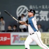 日ハムアルシア（27）.222　14HR　43打点 	