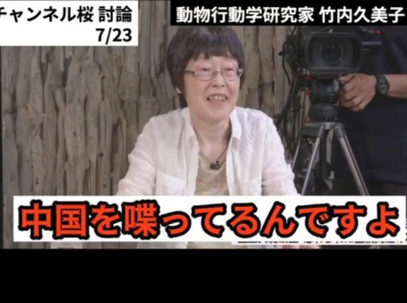 竹内久美子氏の嘘【愛子さまの奉迎は中国語ばかり】を検証する