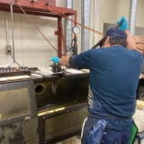 『とにかく明るい「新人」』の画像