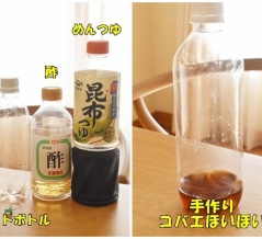 簡単で効果抜群！手作り「コバエほいほい」の作り方｜家にある材料でできる生活の知恵♬