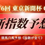 競馬穴馬予想《指数が全て》