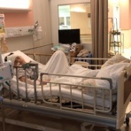 Anko＆Guryu's House