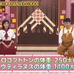 あまのじゃく嗜好