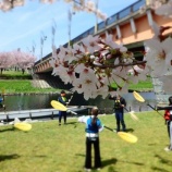 �غ��ߥ������ĥ꡼�������ָ�����å��ĥ����٤β���