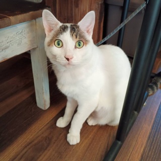 moroのハンドメイド