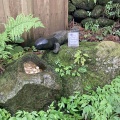 赤目四十八滝に行きました。
