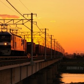 ザ・逆光　= 夕方の貨物 =