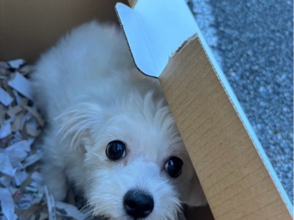 可愛い🩷新入りさん達🩷