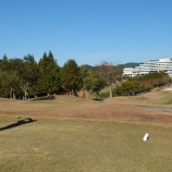 『社内イベント第三弾(最終回)■ゴルフ■』の画像