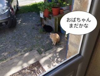 本日の私