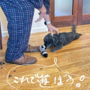 長期戦の始まり