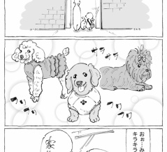 うちの犬のルカ。【６６】