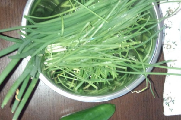 気ままに野菜生活 ニラ