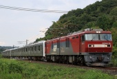 『2025/9/9~11運転 E501系JR九州譲渡甲種』の画像