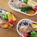 3つの鮭弁当