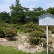 白つづじ公園（松ケ池公園）