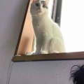 光を浴びて皆んな立ち姿が美しい