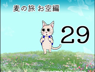 麦の旅お空編29