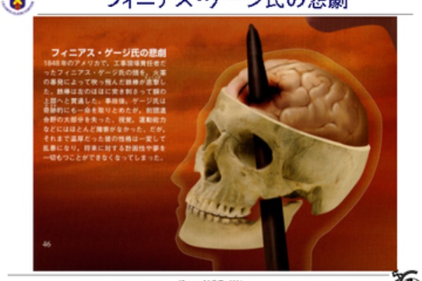 情動的な身体反応の信号１ 心脳迷宮