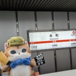 ねこむすめのブログ