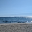 「錦江湾と桜島」だけでなく・・・