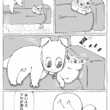 うちの犬のルカ。【８５】