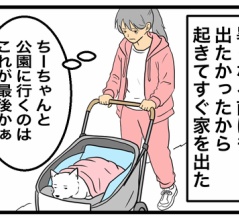 ちーちゃんと私の話② ― 最後まで一緒に歩いた大切な時間