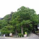 さくっと高尾山へ