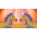 【競馬予想】アルテミスS【2025年】