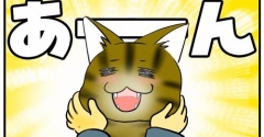 【猫との暮らし】心配するのはまずそこ