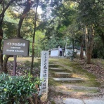 勝手に堺市広報大使