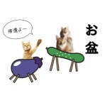 おうちごはんとおかしとねこ
