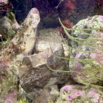 Beach Field　いいかげん日記帳Ⅲ