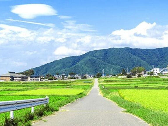 「田舎あるあるなんだけど、歩道はあっても◯◯◯で通れないこと多くない？」←共感の声多数！これどうなってんだよｗｗｗｗ