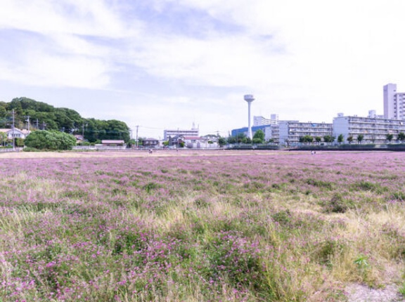 大和から一番近い「にほんの里100選」はどこ？【やまとクイズ】