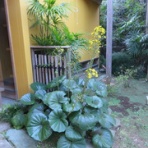 万年山文庫　『只今準備中』