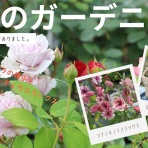 私の幸せ色のノート