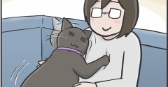 毎日が発見ネット掲載のお知らせ「シニア猫」