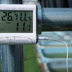 温泉めだかのブログ