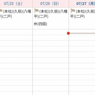 きまじめチキン日記
