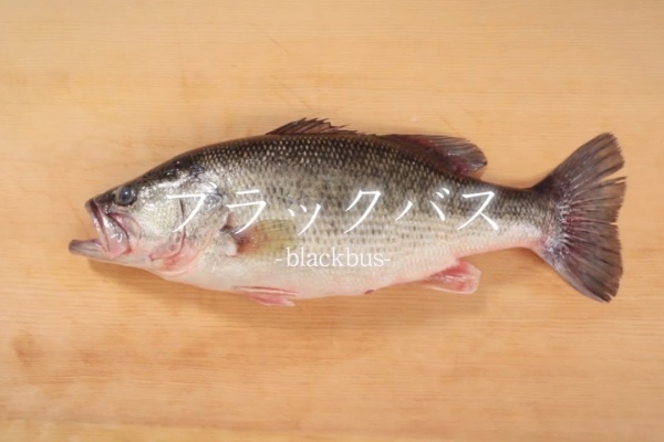 釣りつべちゃんねる 魚の捌き方