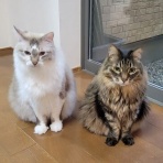 我が家のおでかけ帳