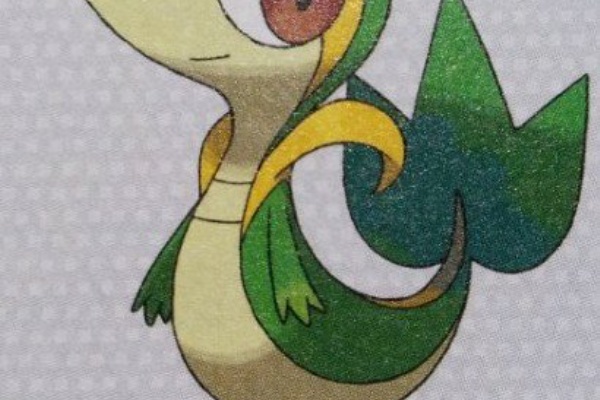 ポケットモンスター ブラック2 ホワイト2 思い出 アニメ ゲーム観測局 ポケットモンスター ブラック2 ホワイト2 思い出 アニメ ゲーム観測局