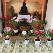 �������θ����衡���������߲�ð