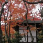 コンピテンシー宣教師日記