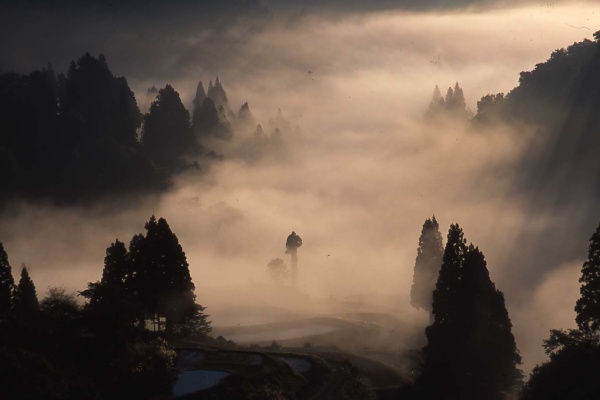 福ちゃんの 毎日がチャレンジ 山古志村