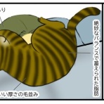 メンコスケダモノ (猫3匹とゲーマーのもふもふ生活漫画絵日記)