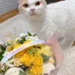 ライライ参上！